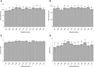 Diverse plant promoting bacterial species differentially improve tomato plant fitness under water stress